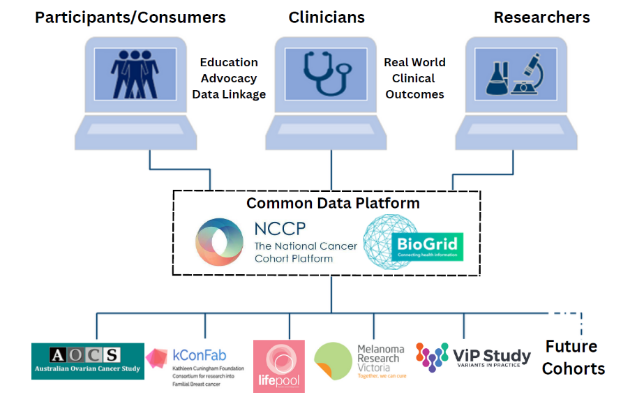 A graphic depicts three computers to reflect the three portals that will have access to the platform, one for participants and consumers, another for clinicians, and one for researchers. These three portals will access the National Cancer Cohort Platform that will be facilitated by BioGrid Australia, labelled on the graphic as the ‘Common Data Platform.’ Between the computer portals is text to indicate key deliverables of the project; ‘Education, Advocacy, and Data Linkage,’ and ‘Real World Clinical Outcomes.’  Connected by lines beneath Common Data Platform to indicate the flow of information into the platform, the logo of each foundational cohort is pictured. These are the Australian Ovarian Cancer Study (AOCS), kConFab, Lifepool, Melanoma Research Victoria (MRV), Variants in Practice (ViP), and a dotted line to the label ‘Future Cohorts,’ to indicate the eventual expansion of the platform. 